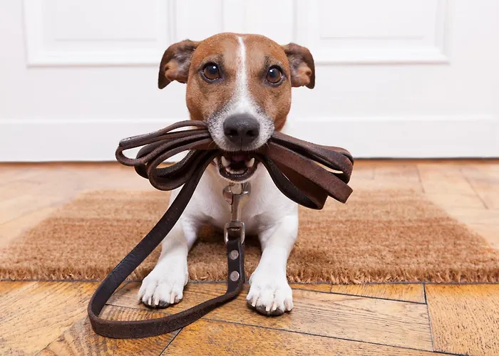 Appartementhaus Modern Art By Schladming-appartements * Schladming